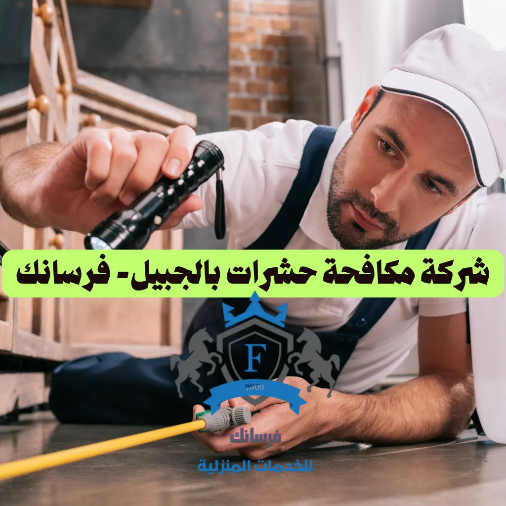 شركة مكافحة حشرات بالجبيل فرسانك